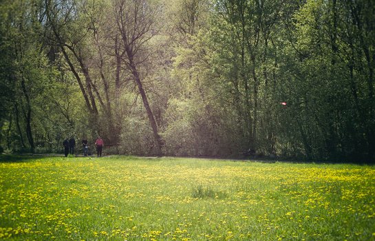 Disc Golf-Anlage Beckum Aktivpark Phoenix