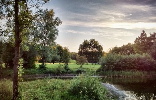 Disc Golf-Anlage Beckum Aktivpark Phoenix