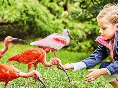 Weltvogelpark Walsrode