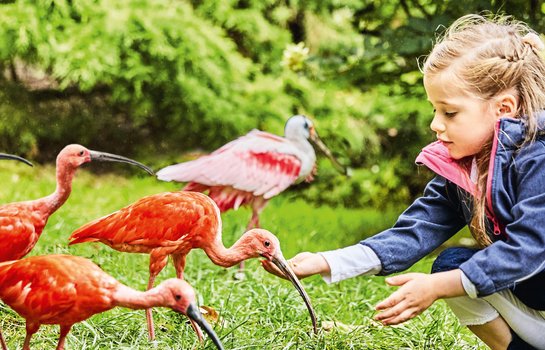 Weltvogelpark Walsrode