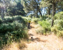 Capoliveri Bike Park - Insel Elba