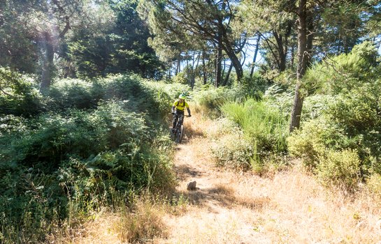 Capoliveri Bike Park - Insel Elba